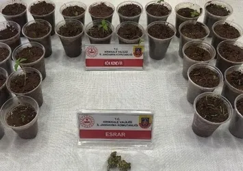 Yoldaki çevirmede 28 bardak kenevir ele geçirildi