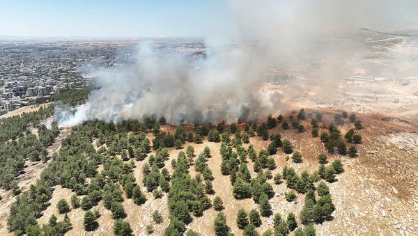 Adıyaman'da orman yangını paniği! Kontrol altına alındı - 3