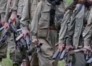Teslim olan teröristler anlattı! Önce HDP sonra YPG....