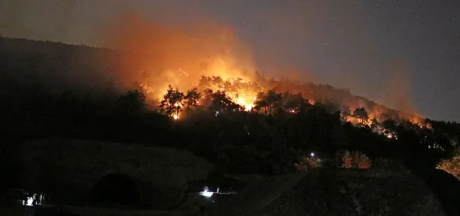 Bursa’da orman yangını!