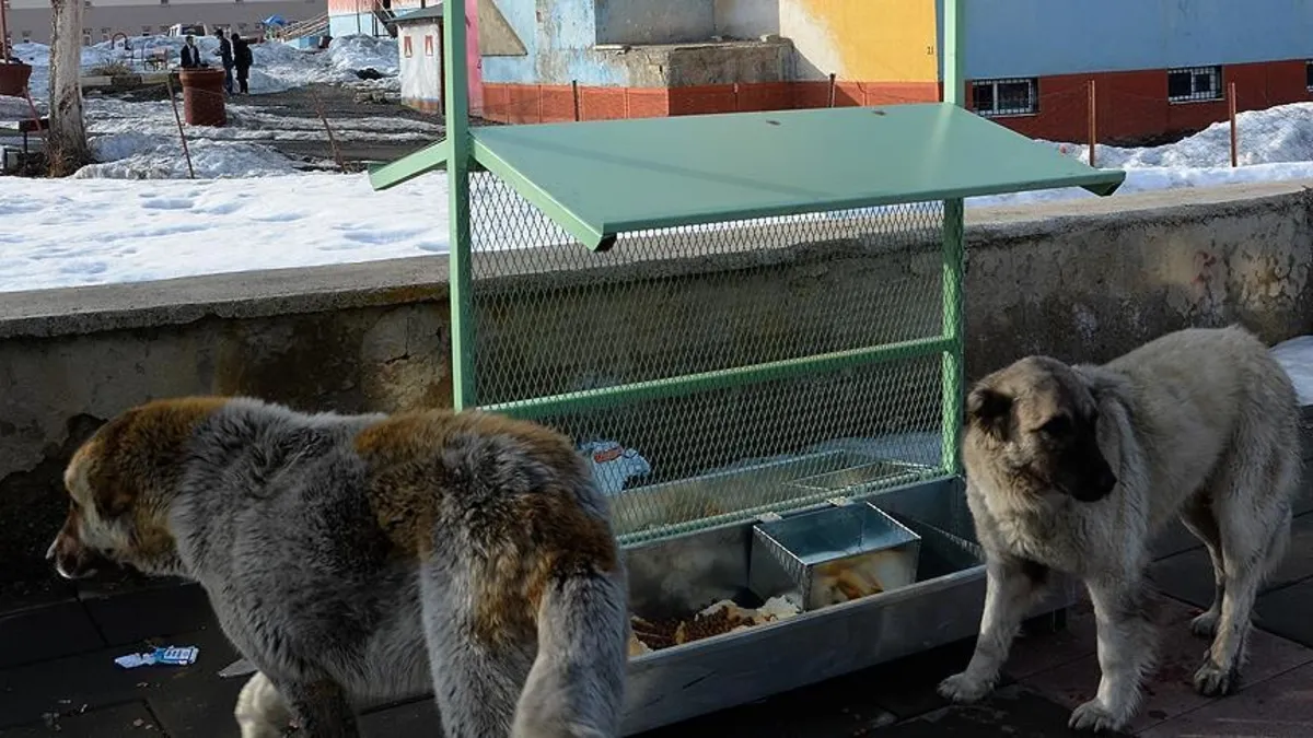 MASAK raporu 'mama lobisi'nin rantını ortaya koydu: Yılda 500 milyar TL