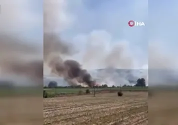 Bursa'nın Yenişehir kırsalında yangın paniği
