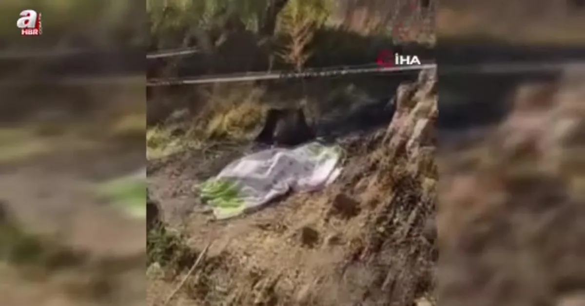 Bahçe temizliği facia ile sonuçlandı
