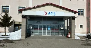 Karlıova’da kamyonun çarptığı yaya öldü