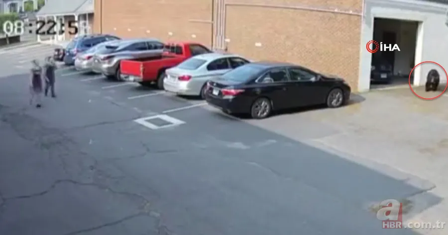 Bahçesine girip erik ağacına çıktı! Hemen telefona sarıldı 5