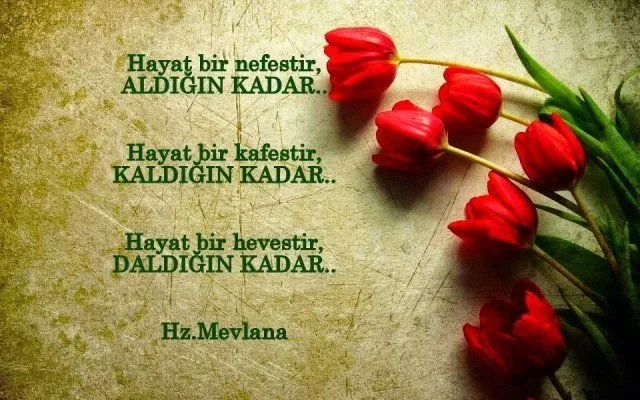Sevgiliye bayram mesajları 2020! Sevgiliye Whatsapp Kurban Bayramı kutlama mesajları...