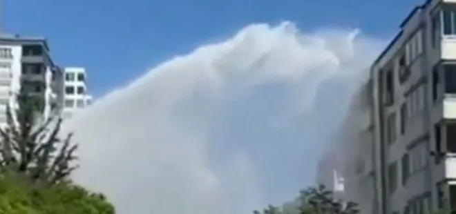 6 katlı binanın boyunu geçti! Korkuyla içeriye kaçtılar!