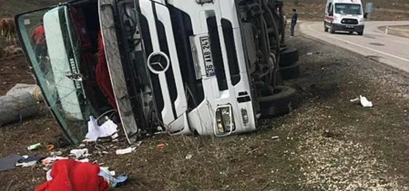 Kars'ta büyükbaş hayvan taşıyan TIR kaza yaptı
