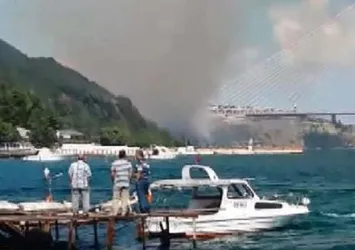3. Köprü yakınlarında orman yangını