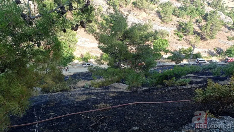 Kahramanmaraş'taki orman yangınının nedeni ortaya çıktı! Torpil şakası 80 hektarı küle döndürdü 4
