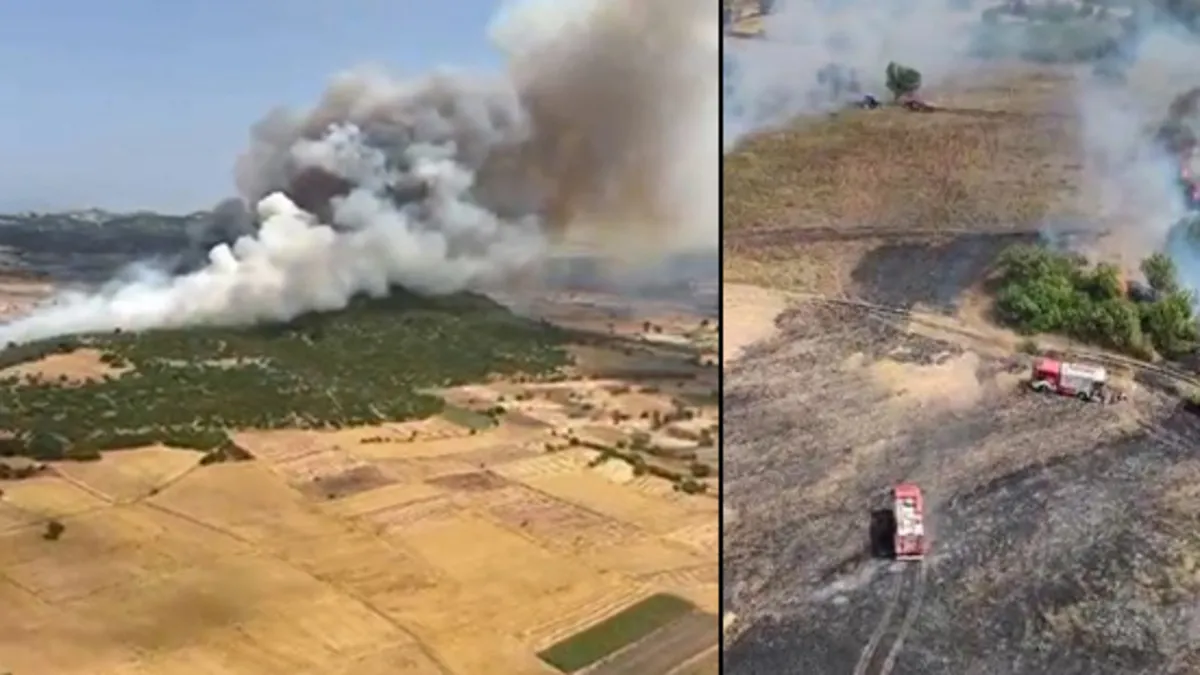 Balıkesir'de orman yangını! Alevler kontrol altında