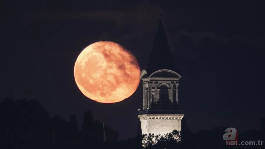 Tüm bildiklerinizi unutun! TDK bir çok sözcüğün yazımında değişikliğe gitti 14
