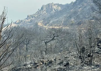 Orman yangınlarında son durum ne? Bakan İbrahim Yumaklı'dan flaş açıklama: 247 yangından 241'i...