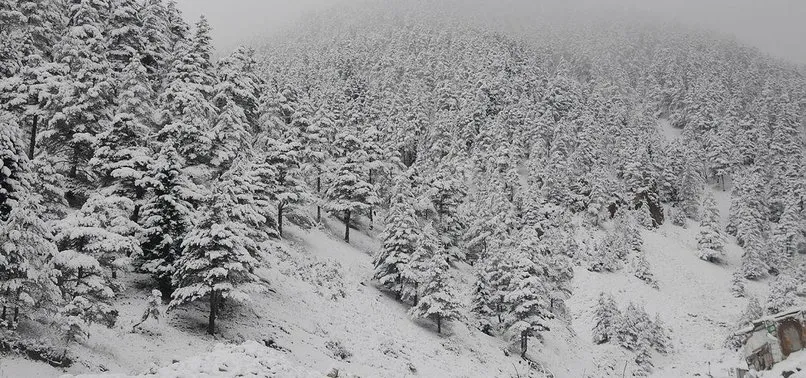 Meteoroloji'den son dakika hava durumu açıklaması! Yoğun kar yağışı uyarısı | 24 Mayıs 2020 hava durumu