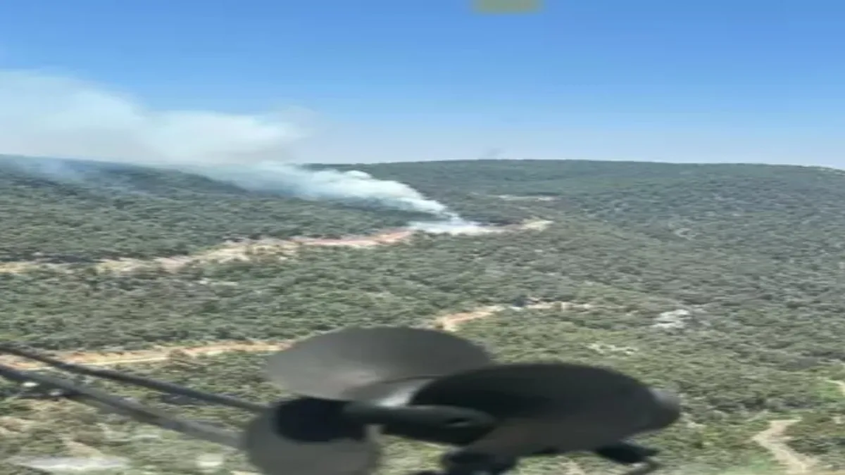 Manisa'daki orman yangını 4 saatte söndürüldü