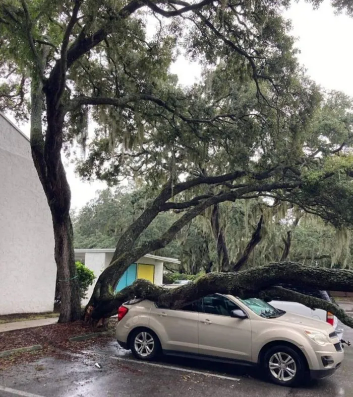 ABD’deki Debby Kasırgası en az 4 kişinin ölümüne neden oldu