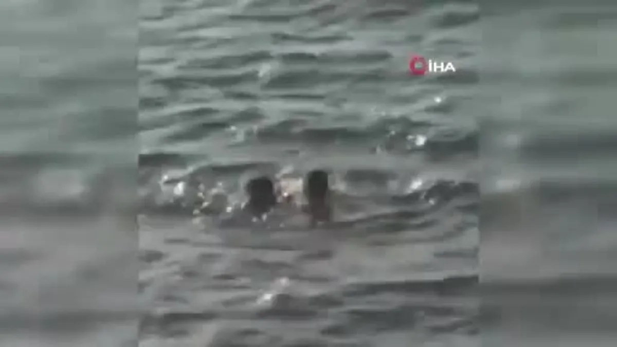 Yalova’da denizde boğuma tehlikesi geçiren şahsı kurtaran genç o anları anlattı