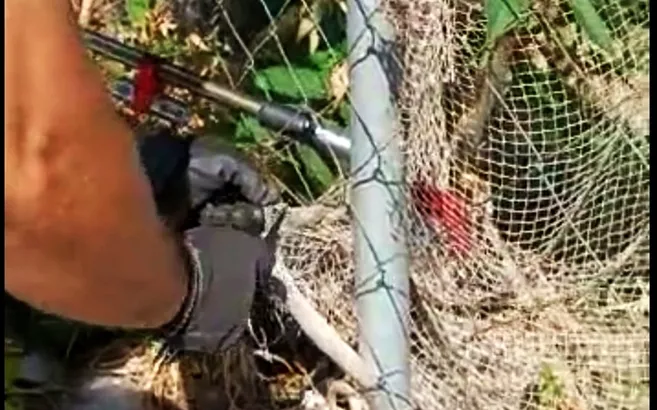 Çanakkale’de evin bahçesinde yılan operasyonu! Görenler ekiplere haber verdi