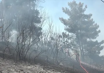 Gaziantep'te ormanlara girişler yasaklandı