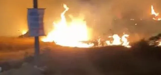 Didim'de 5 dönüm makilik alan yandı