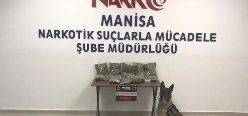 Manisa’da zehir tacirlerine geçit yok! Durdurulan araçta 10 kilo bonzai ele geçirildi
