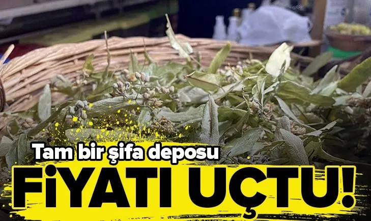 Havalar soğuyunca rahatlatıcı ve nefes açıcı etkisi olan ıhlamurun fiyatı uçtu