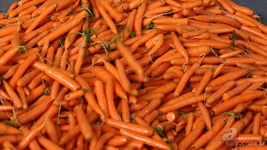 Günde 2 havuç yemenin inanılmaz faydası! Sabahları aç karnına tüketirseniz... 6