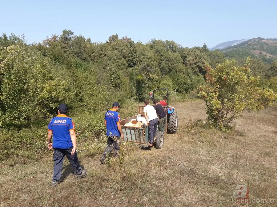 Ormanda doğum yapan inek 3 gün sonra kurtarıldı 4