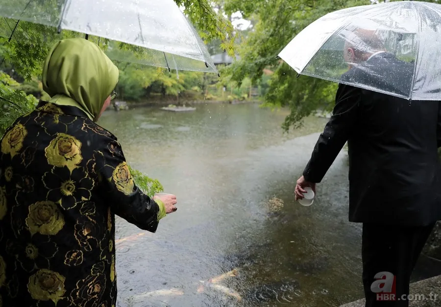 Başkan Erdoğan Japonya'da çay seremonisine katıldı 5