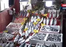 Hamsi tezgahta ne kadar?