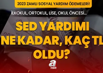 SED yardımı Temmuz zammı 2023 son dakika! SED yardımı ne kadar, kaç TL oldu? Zamlı sosyal yardım ödemeleri...
