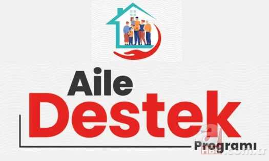 2022 Doğalgaz yardımı başvurusu nasıl yapılır? Doğalgaz-Elektrik yardımı kaç TL, ne kadar? I Doğalgaz-Elektrik Yardımı Başvuru Ekranı 17