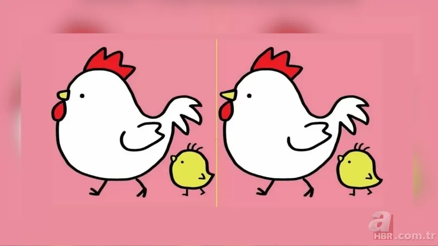 Zeka Testi: Tavuk ve civciv resimleri arasındaki farkı 15 saniyede sadece şahin gözlüler buluyor! 1