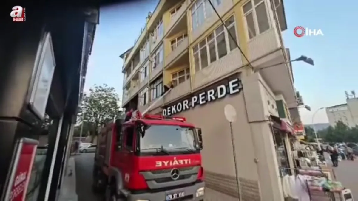 Boş dairede mahsur kalan kedi kurtarıldı