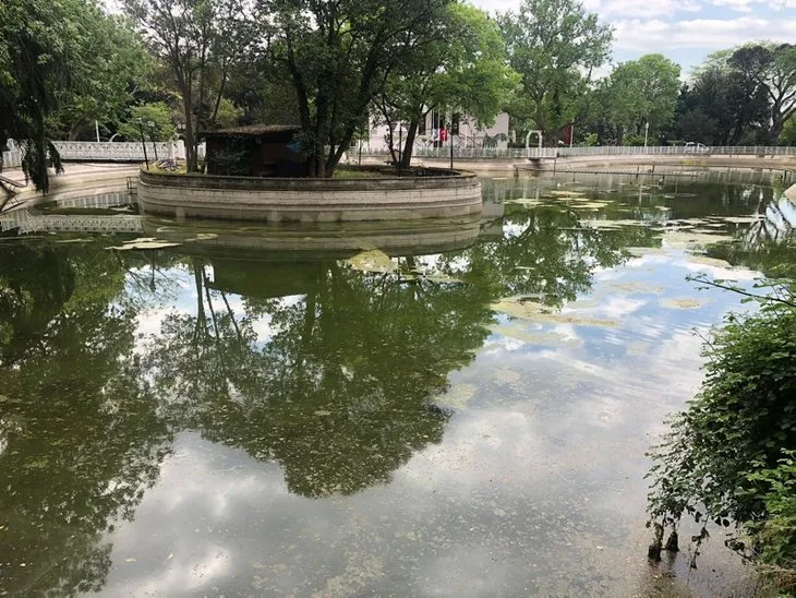 İstanbul'daki Yıldız Parkı'nda büyük rezalet! Hepsi tek tek ölüyor