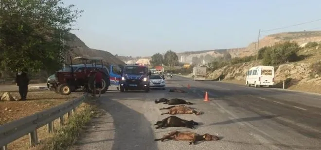 Mersin’de tarım işçilerini taşıyan minibüs sürüye çarptı! 15 küçükbaş hayvan telef oldu