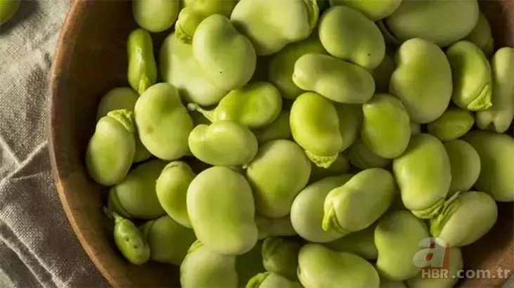 Kozmetik ürünlerini çöpe attıracak... İbn-i Sina'dan 10 yaş gençleştiren reçete! 8