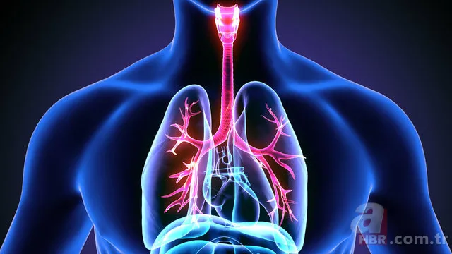 Akciğer kanseri belirtileri nelerdir? 2