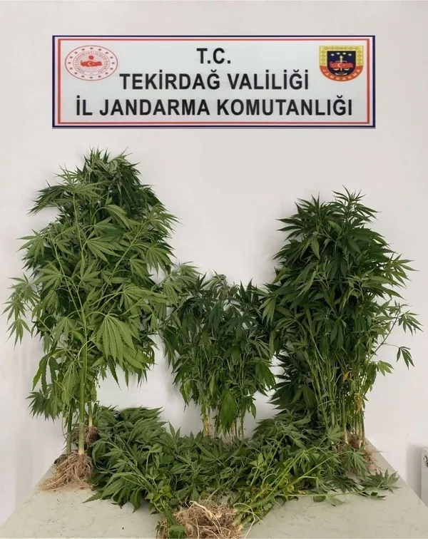 tekirdagda-uyusturucu-operasyonu-jandarma-ekipleri-suclulara-savas-acti-1693226037949.jpg Tekirdağ’da uyuşturucu operasyonu! Jandarma ekipleri suçlulara savaş açtı - 1
