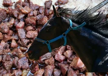 At eti skandalı olayında gelişme