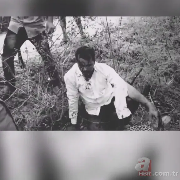 Kafesten kaçan leoparın dehşet anları! Sokakta gördüğü insanlara saldırdı 22