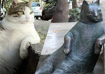 Tombili'nin heykeli çalındı