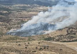 Çanakkale'de ormanlık alanda yangın çıktı! Ekipler müdahale ediyor