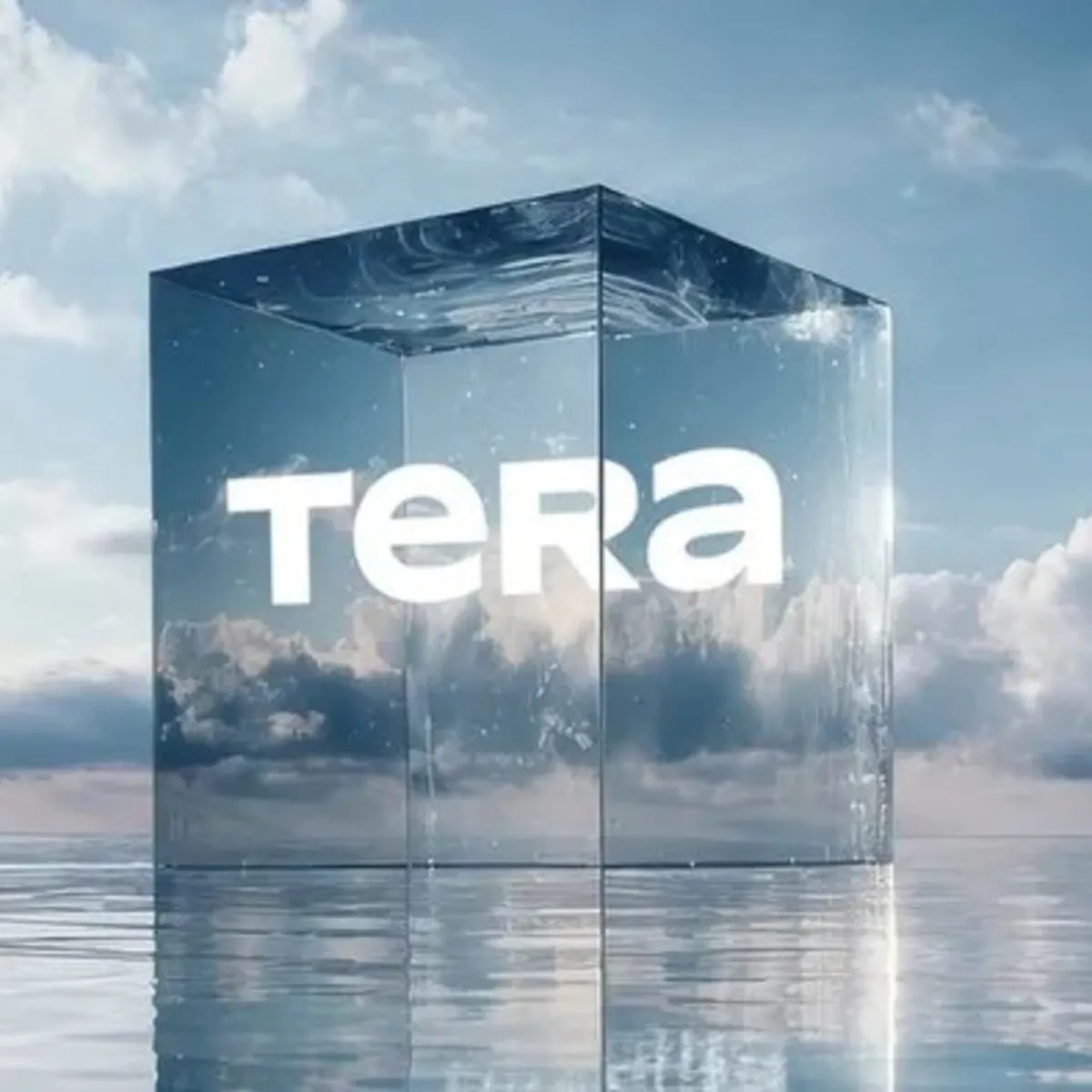 Tera Grubu'ndan Pusula Finans Holding açıklaması: