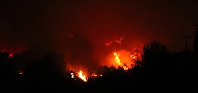 Son dakika | Antalya’da bir orman yangını daha!