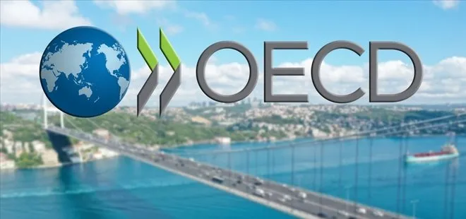 OECD: Türkiye’nin başarıları bölgeye ilham olmalı