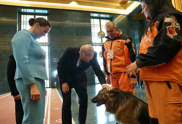 Başkan Recep Tayyip Erdoğan ile Macaristan Cumhurbaşkanı Katalin Novak’tan kritik açıklamalar