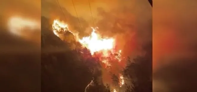 Son dakika: Alanya’da büyük orman yangını