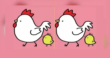 Zeka Testi: Tavuk ve civciv resimleri arasındaki farkı 15 saniyede sadece şahin gözlüler buluyor!