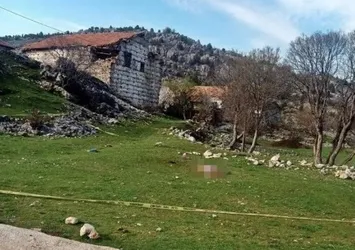 Ölümüne sebebiyet veren köpeklerin sahibinden vicdanları sızlatan savunma